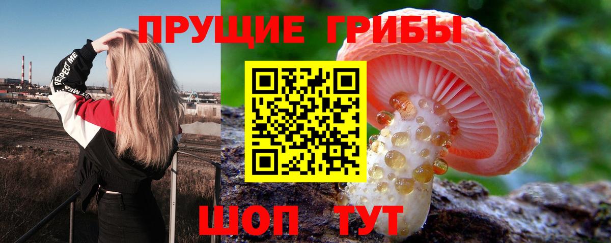Галлюциногенные грибы Psilocybe Воркута